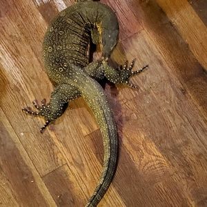 Meet your Posher, Adam